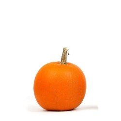 calabaza halloween Jack oÂ´lantern (semillas no tratadas)