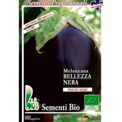 berenjena belleza negra - semillas ecolÃ³gicas