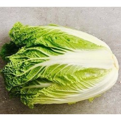 col china michihili - semillas no tratadas