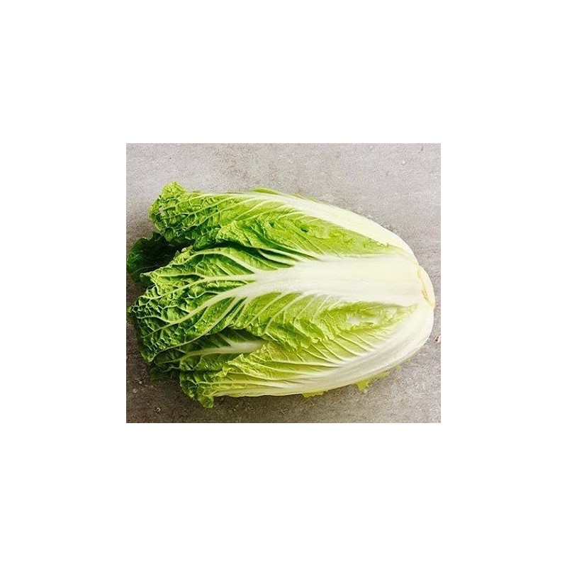 col china michihili - semillas no tratadas