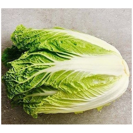 col china michihili - semillas no tratadas