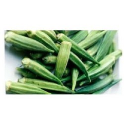 okra (hibiscus esculentus) - semillas ecolÃ³gicas