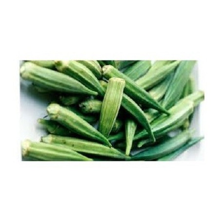 okra (hibiscus esculentus) - semillas ecolÃ³gicas