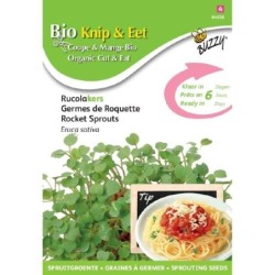 rucula - semillas para germinar