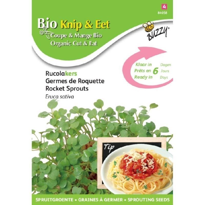 rucula - semillas para germinar