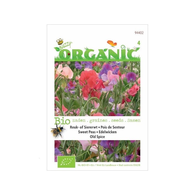 guisante de olor (Lathyrus odoratus) semillas ecolÃ³gicas