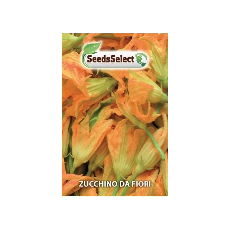 calabacin para flores