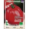 tomate cosentino (red lanner) semillas ecolÃ³gicas