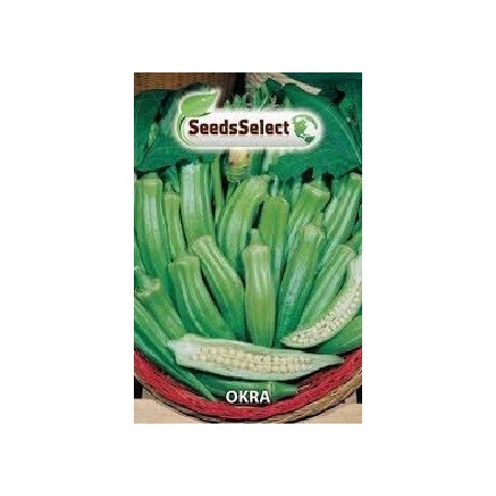 okra