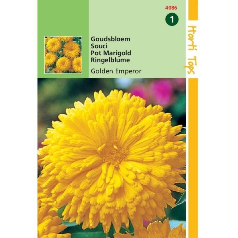 calendula doble amarilla golden emperor (Calendula officinalis)