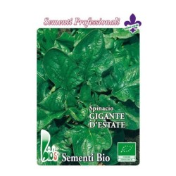 espinaca lorelay - semillas ecolÃ³gicas