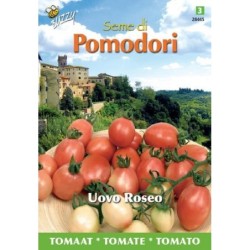 tomate Pink Thai Egg / Uovo Roseo