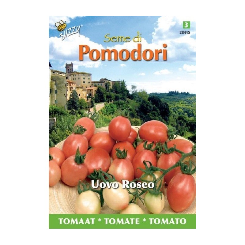 tomate Pink Thai Egg / Uovo Roseo