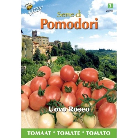 tomate Pink Thai Egg / Uovo Roseo