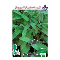 salvia (salvia officinalis) - semillas ecologicas