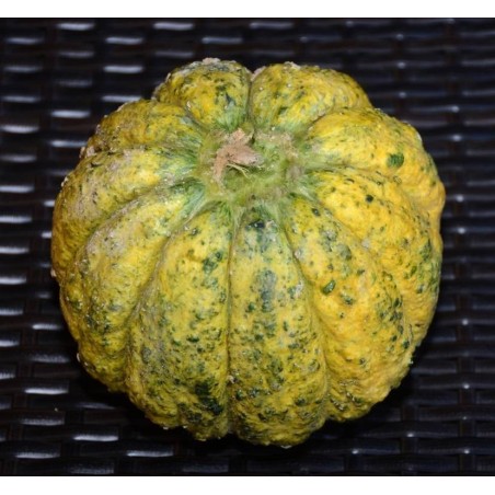 melon zatta (semillas ecolÃ³gicas)