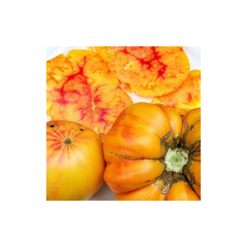 tomate german gold (Semillas no tratadas)