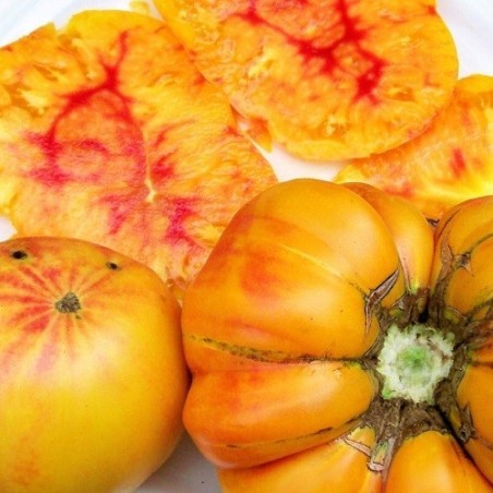 tomate german gold (Semillas no tratadas)