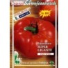 tomate gigante malizia (semillas ecologicas)