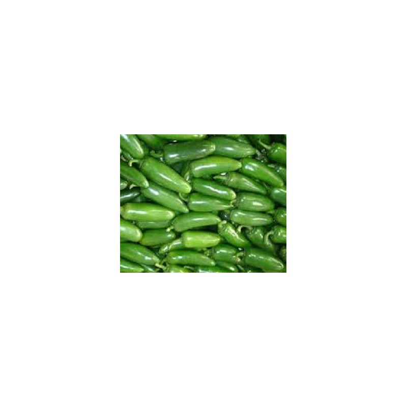 pimiento jalapeÃ±o (semillas sin tratamiento)