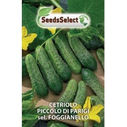 pepino pequeÃ±o de Paris - pepinillo