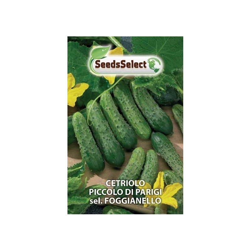 pepino pequeÃ±o de Paris - pepinillo