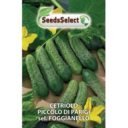 pepino pequeÃ±o de Paris - pepinillo