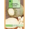 colinabo - rutabaga Wilhelm Greentop