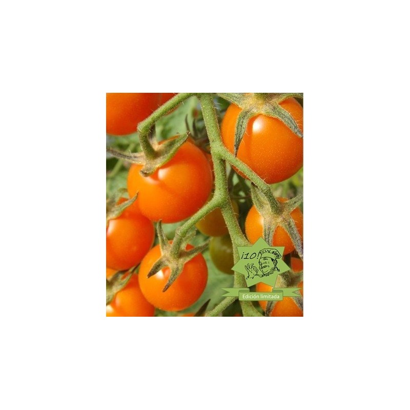 tomate tangerine orange