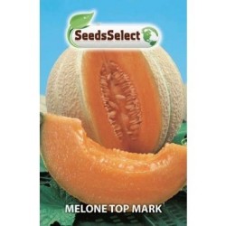 melon top mark