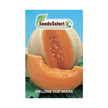 melon top mark