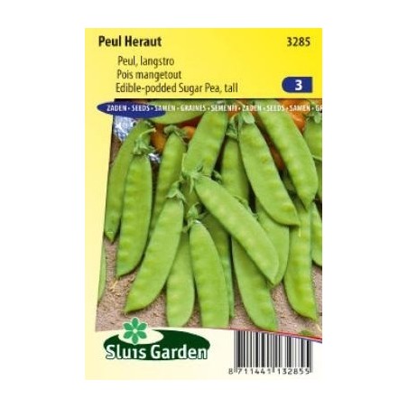 guisante alto Heraut