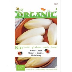 achicoria endivia (semillas ecologicas)