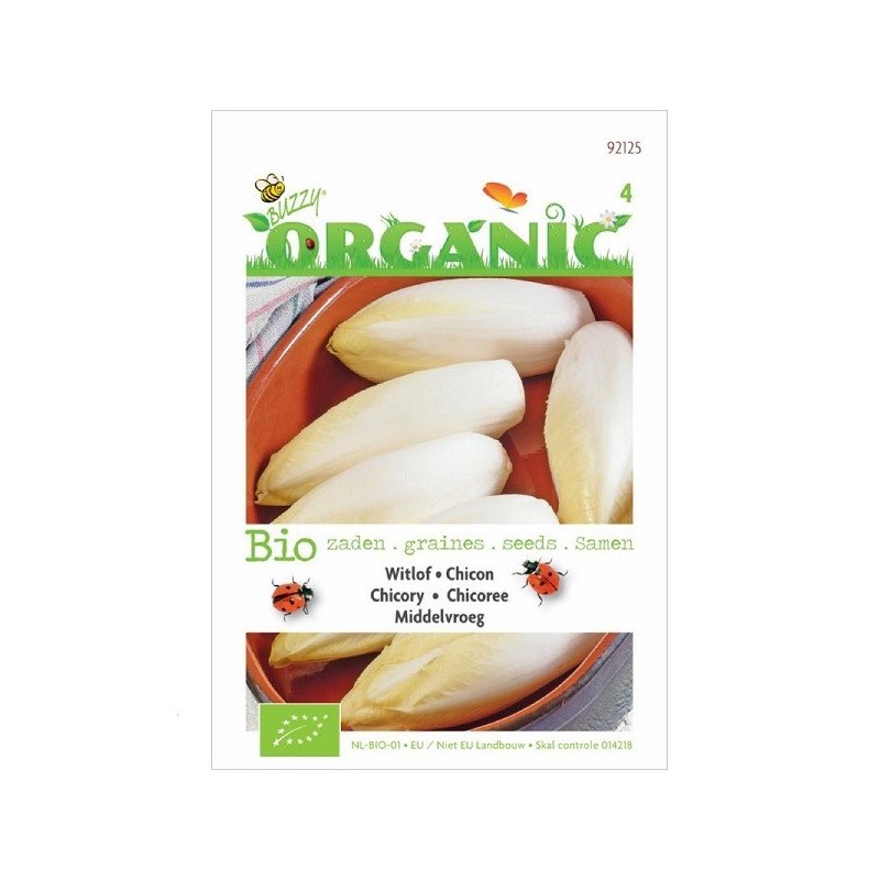 achicoria endivia (semillas ecologicas)