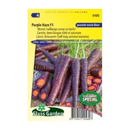 zanahoria neblina purpura F1