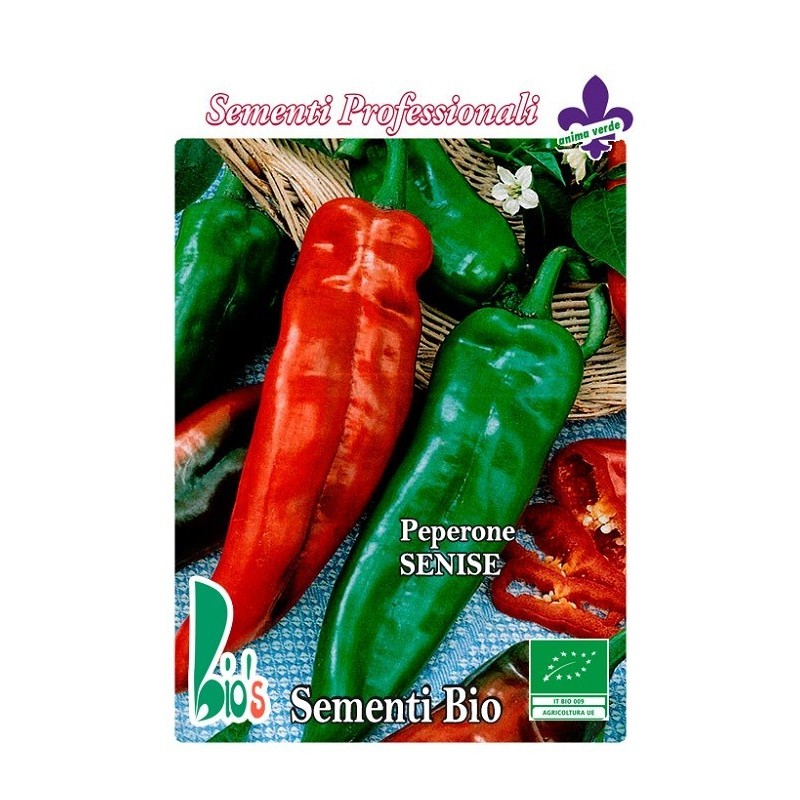 pimiento kurtovska kapija (Senise) - semillas ecolÃ³gicas
