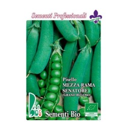 guisante senador - semillas ecolÃ³gicas