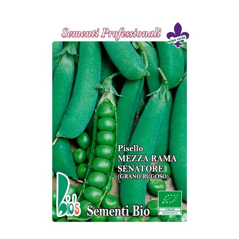 guisante senador - semillas ecolÃ³gicas