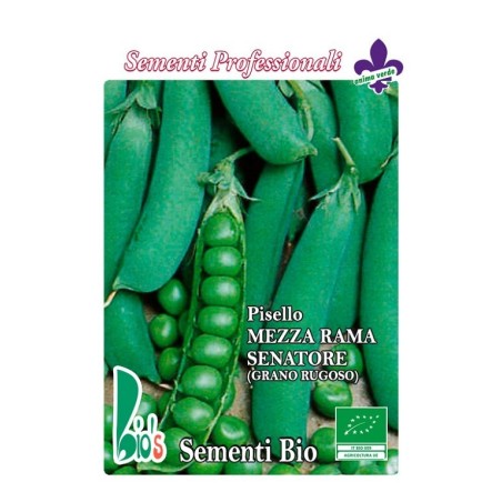 guisante senador - semillas ecolÃ³gicas