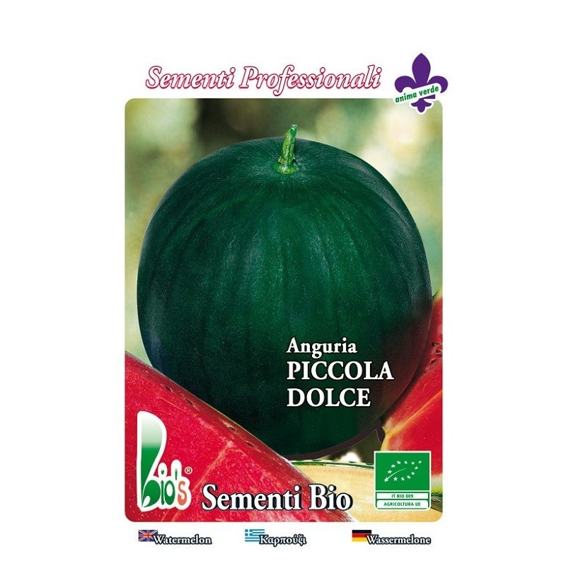 sandia sugar baby - semillas ecolÃ³gicas