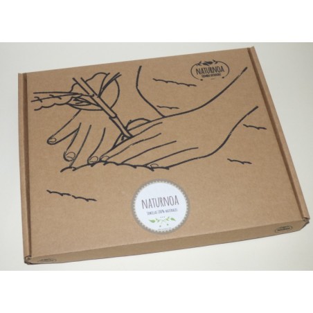 Caja semillas huerta oriental