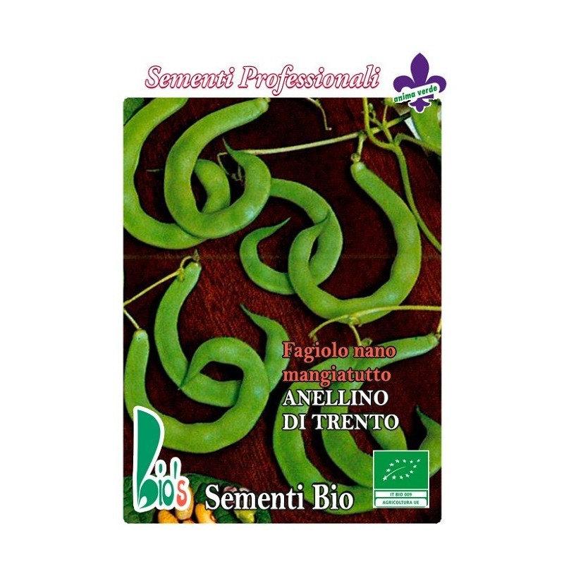 judÃ­a Anillo de Trento - semillas ecolÃ³gicas