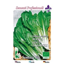 escarola lisa de Napoles - semillas ecolÃ³gicas