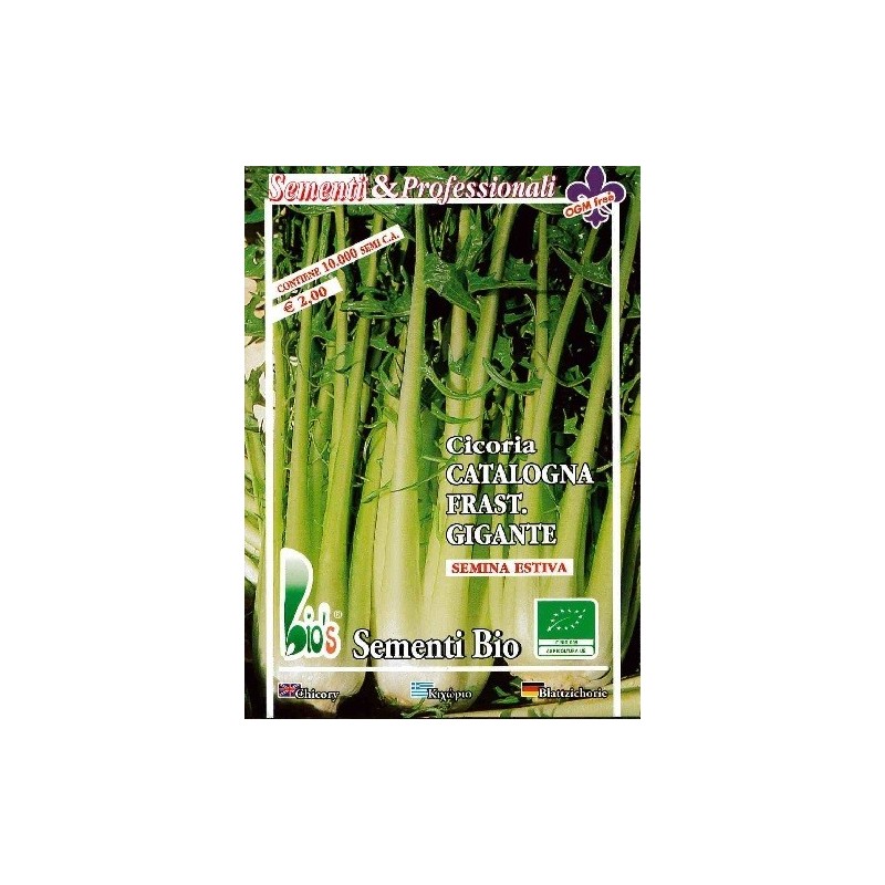 achicoria catalogna gigante dentada - semillas ecolÃ³gicas