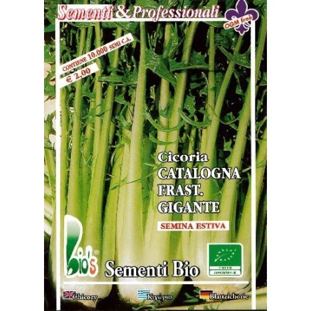 achicoria catalogna gigante dentada - semillas ecolÃ³gicas