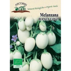 berenjena blanca huevos blancos - semillas ecologicas