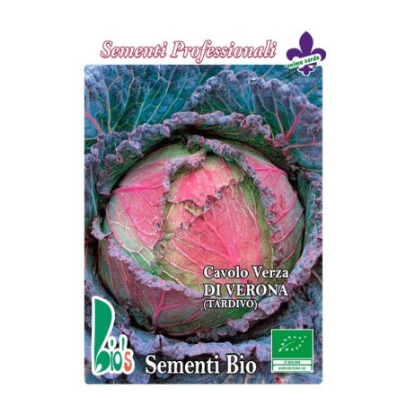 repollo morado de Verona - semillas ecologicas