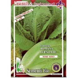 lechuga Romana precoz de verano semillas ecolÃ³gicas