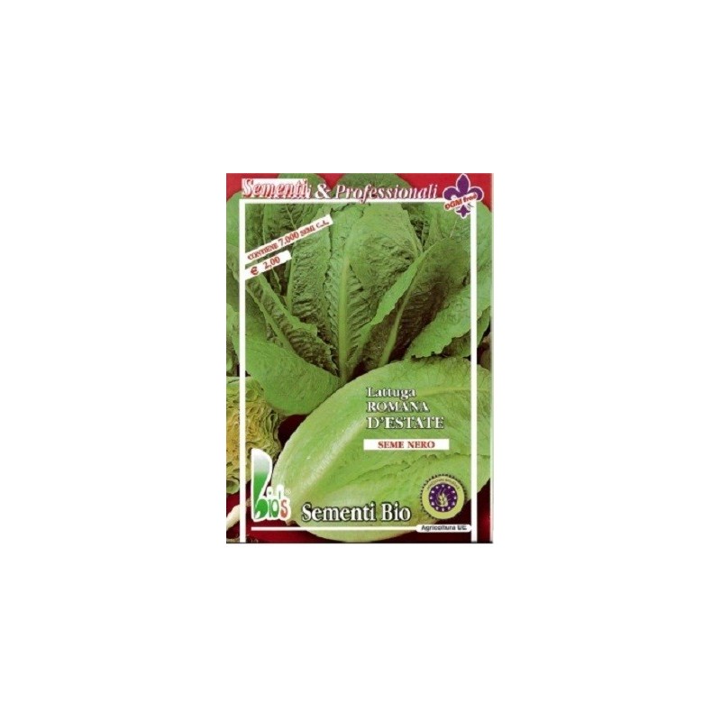 lechuga Romana precoz de verano semillas ecolÃ³gicas