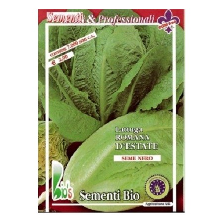 lechuga Romana precoz de verano semillas ecolÃ³gicas